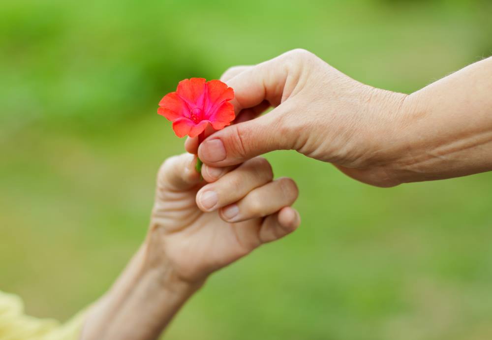 dementia-care-flower-concept-incontinence-uk