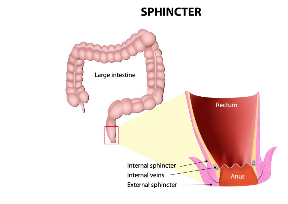 link-between-vascular-dementia-and-bowel-incontinence